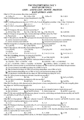 Bài tập chương 3: Amin – amino axit – peptit - Protein trường THPT Hồng Ngự 3