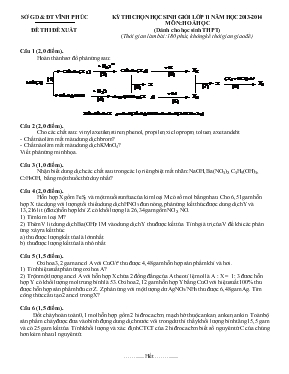 Kỳ thi chọn học sinh giỏi lớp 11 năm học 2013 - 2014 môn: Hoá học